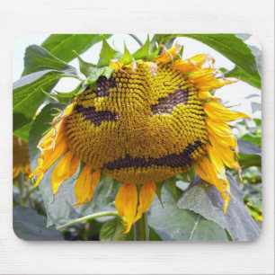 Mad Sunflower Mouse Pad