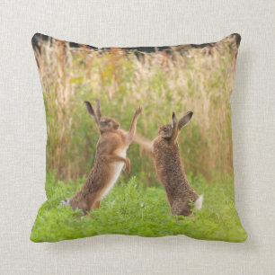 Mad wild hares boxing and fighting in Norfolk UK Cushion