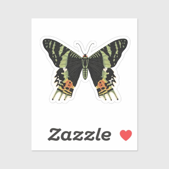 Madagascan Sunset Moth (Sheet)