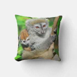 Madagascar, Andasibe, Ile Aux Lemuriens, Mother Cushion