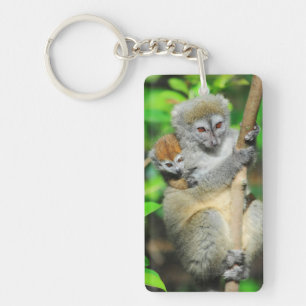 Madagascar, Andasibe, Ile Aux Lemuriens, Mother Key Ring
