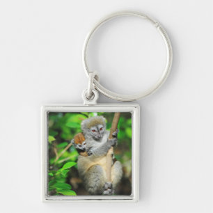 Madagascar, Andasibe, Ile Aux Lemuriens, Mother Key Ring