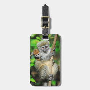 Madagascar, Andasibe, Ile Aux Lemuriens, Mother Luggage Tag