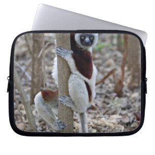 Madagascar, Ankarafantsika Reserve; Ampijoroa; Laptop Sleeve