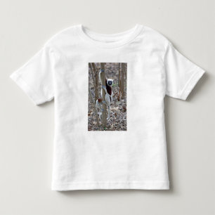 Madagascar, Ankarafantsika Reserve; Ampijoroa; Toddler T-Shirt