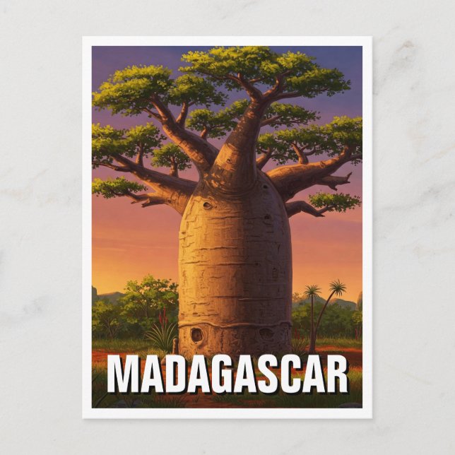 Madagascar Baobab Tree Travel Postcard (Front)
