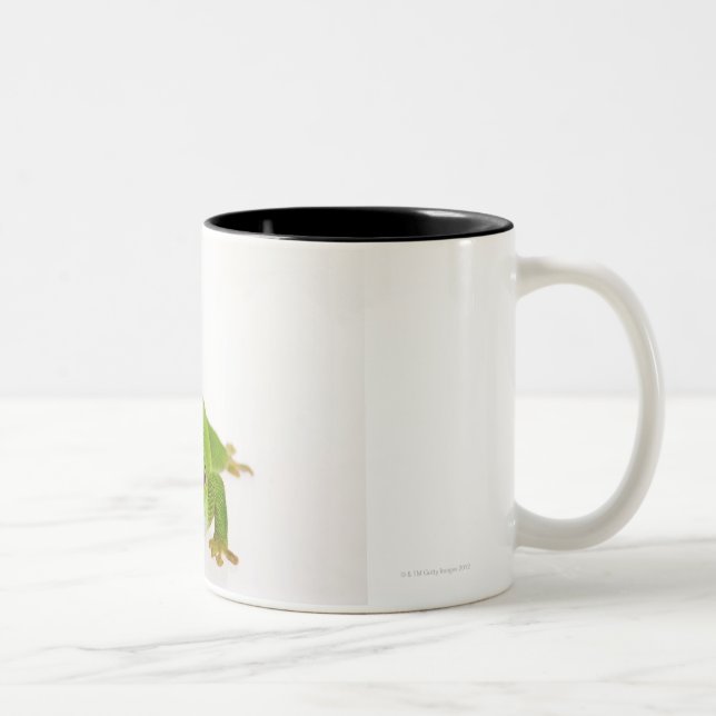Madagascar day gecko (Phelsuma madagascariensis) Two-Tone Coffee Mug (Right)