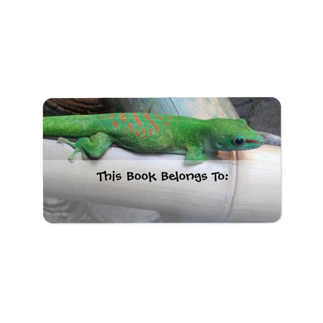 Madagascar Giant Day Gecko Bookplate Labels (Front)