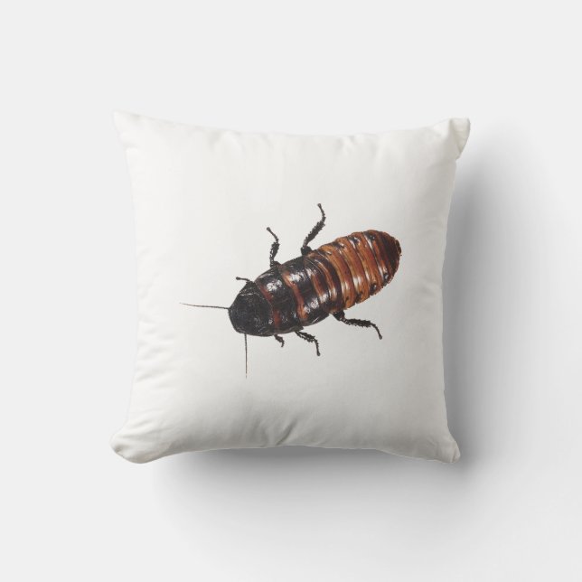 Madagascar Hissing Cockroach Cushion (Front)
