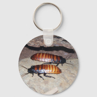Madagascar Hissing Cockroach Key Ring