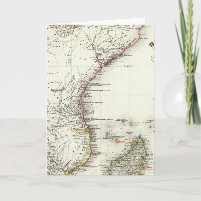 Madagascar Holiday Card (Front)