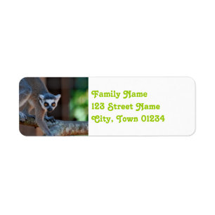 Madagascar Lemur Return Address Label