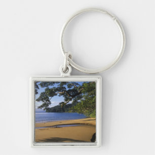 Madagascar, Nosy Mangabe Special Reserve, on Key Ring