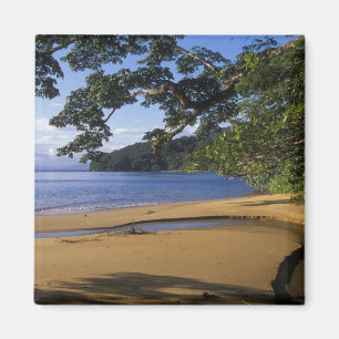 Madagascar, Nosy Mangabe Special Reserve, on Magnet