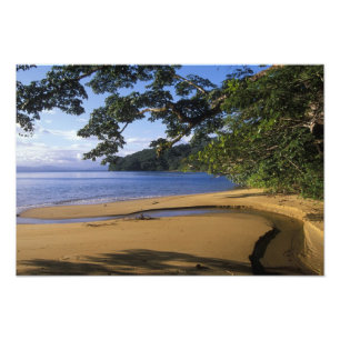 Madagascar, Nosy Mangabe Special Reserve, on Photo Print