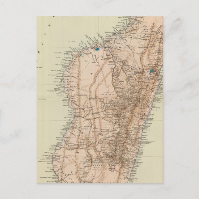 Madagascar Postcard (Front)