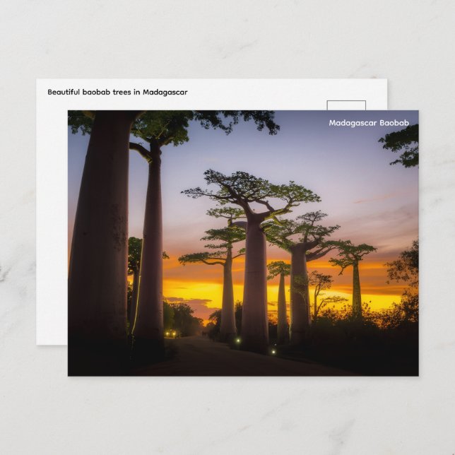 Madagascar Postcard (Front/Back)