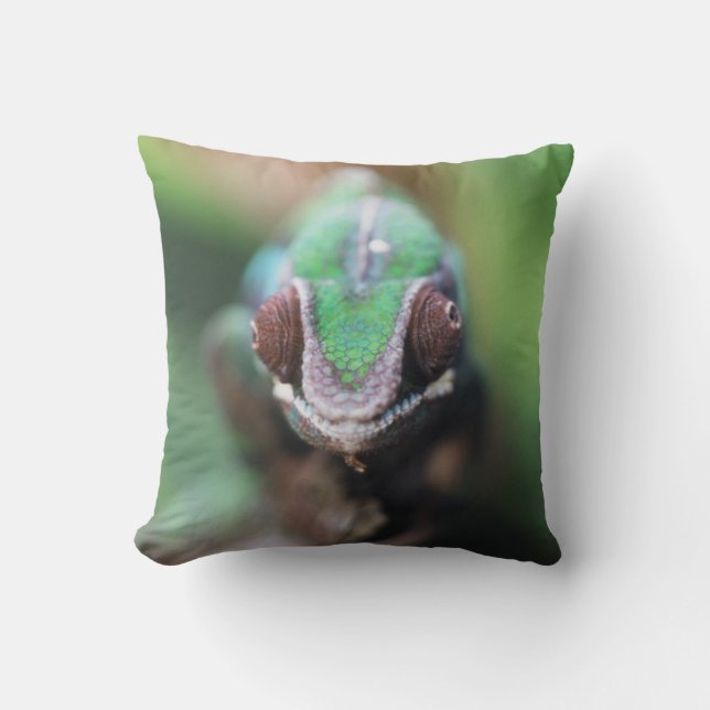 Madagascar, Red bar Panther Chameleon Cushion (Front)