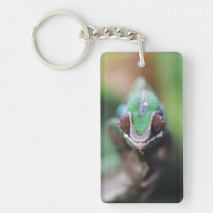 Madagascar, Red bar Panther Chameleon Key Ring