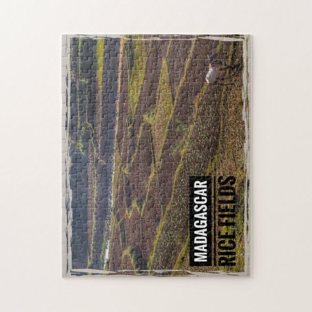 Madagascar Rice Field with Goat Jigsaw Puzzle (Vertical)