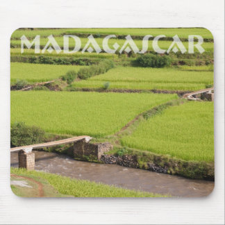 Madagascar rice paddies landscape mouse pad