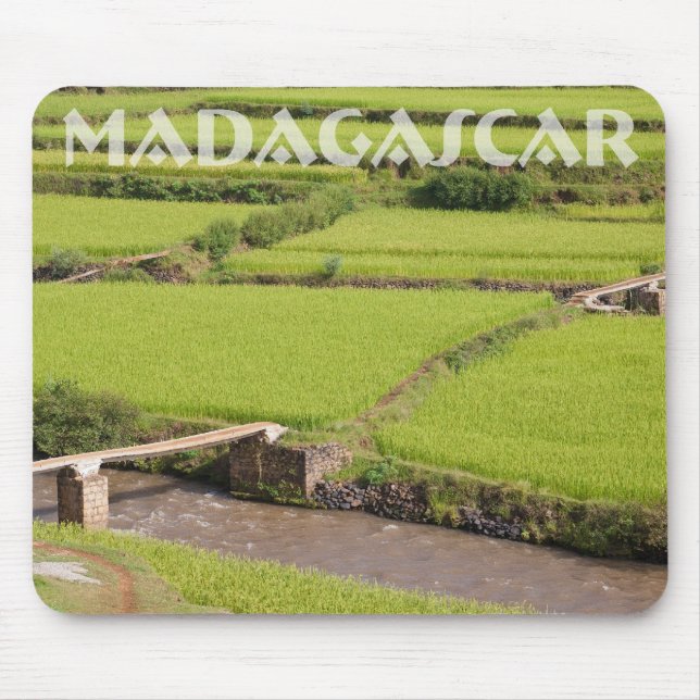 Madagascar rice paddies landscape mouse pad (Front)
