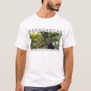 MADAGASCAR: sifaka lemur shirt