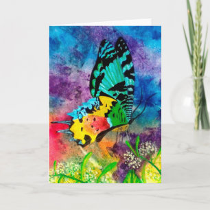 Madagascar Splash Profile Card