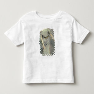 Madame Charles Max, 1896 Toddler T-Shirt