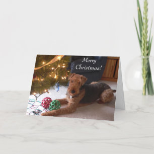 Maddie says, "Merry Christmas!" Holiday Card