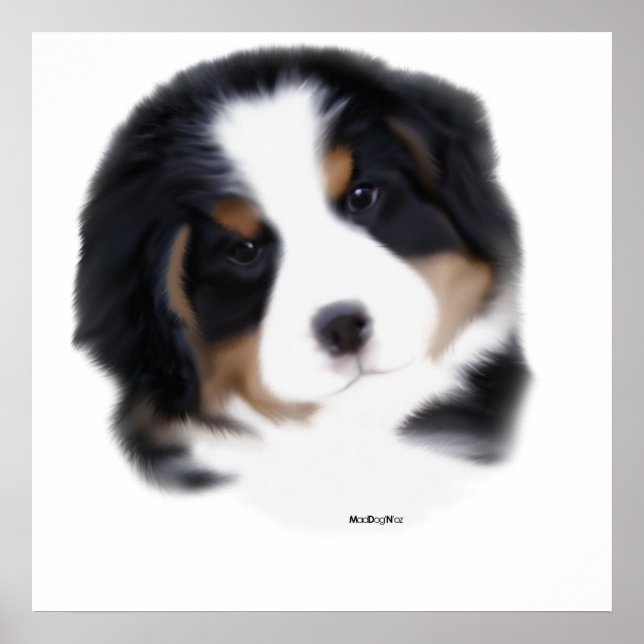 MadDog's Baby Face Print (Front)