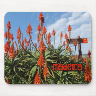 Madeira Aloe mousepad