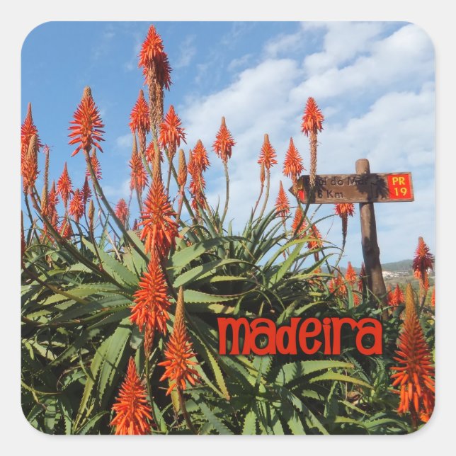 Madeira Aloe stickers (Front)
