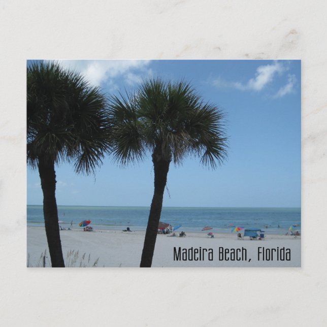 Madeira Beach Palms Postcard (Front)
