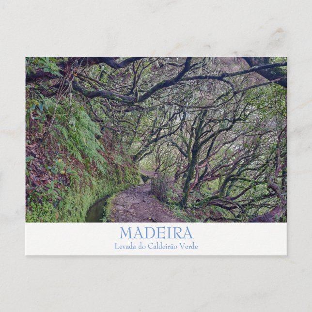 Madeira - Caldeirao Verde postcard with text (Front)