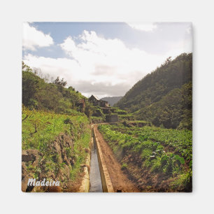 Madeira magnet- Levada do Caniçal Magnet
