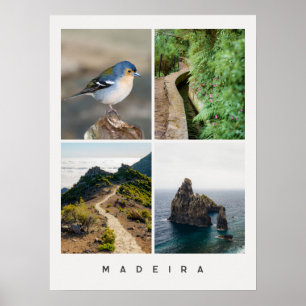 Madeira nature and landscapes Travel photo Collage Poster