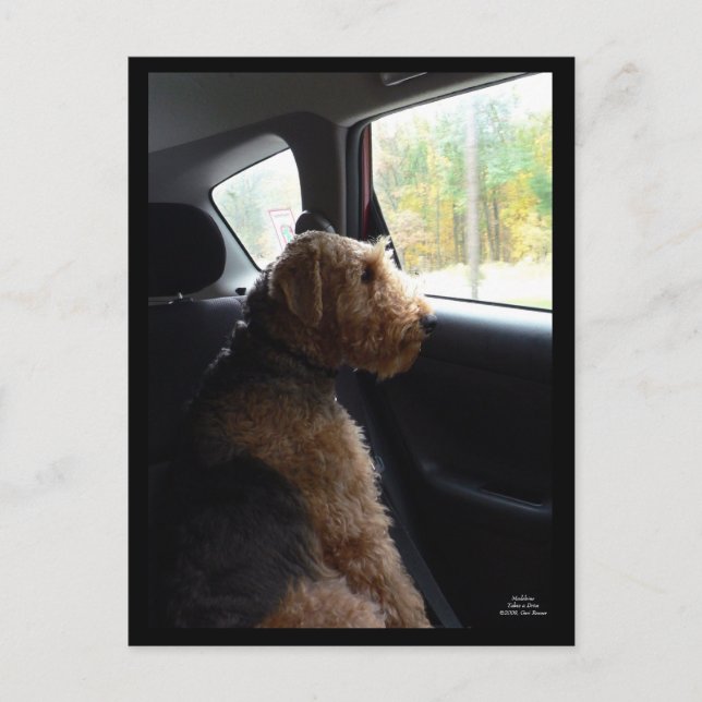 Madeleine Takes a Drive Postcard (Front)