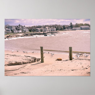 Madison Beach Living Connecticut Poster