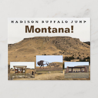 Madison Buffalo Jump Postcard