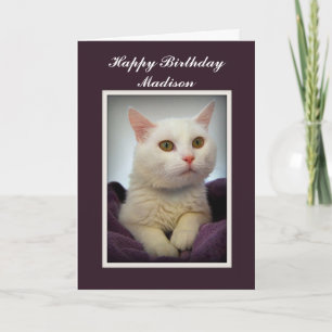 Madison Happy Birthday White Cat Card