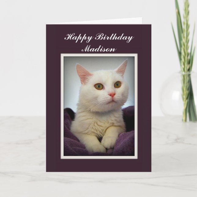 Madison Happy Birthday White Cat Card (Front)
