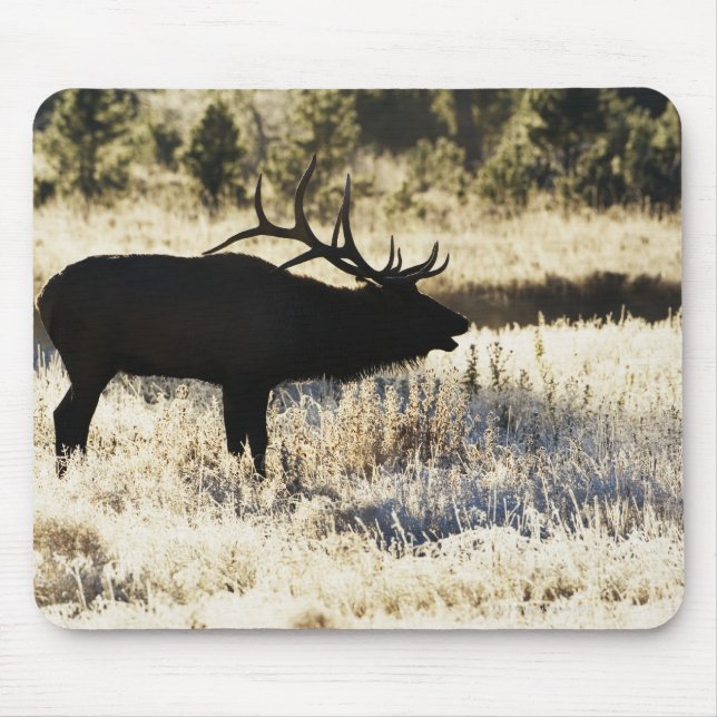 Madison River, Yellowstone NP, Wyoming, USA Mouse Pad (Front)