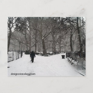 Madison Square Garden Postcard