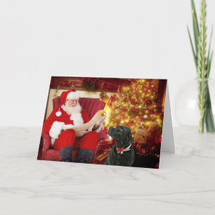Madison the Black Labrador Christmas Card