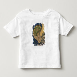 Madonna and Child with SS. Dominic and Aurea Toddler T-Shirt