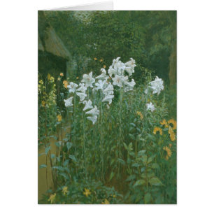 Madonna Lilies in a Garden