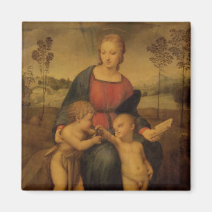 Madonna of the Goldfinch, c.1506 Magnet