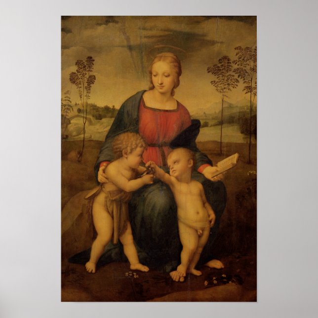 Madonna of the Goldfinch, c.1506 Poster (Front)