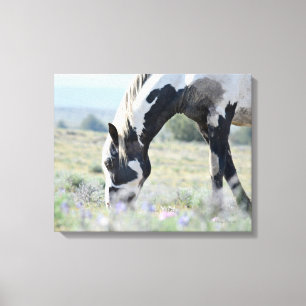 Maestro Stretched Canvas 20 x 16 Print